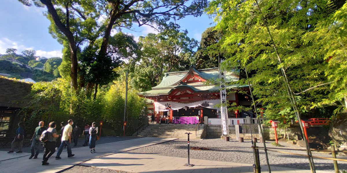 日本屈指のパワースポット「來宮神社」で願いを叶える！
