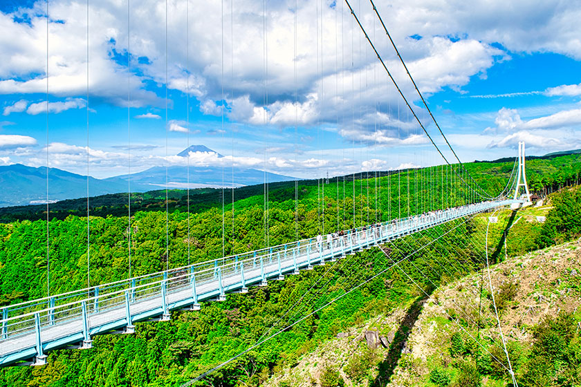 日本一の吊橋「三島スカイウォーク」で遊びつくそう！
