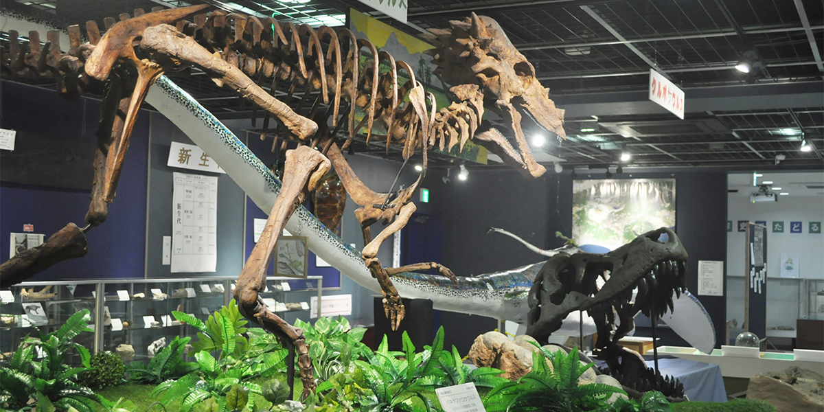 恐竜の骨格模型